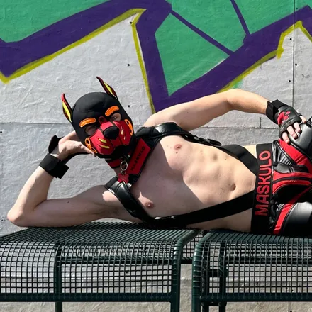 OnlyFans cuenta pup_roger.aut header 2