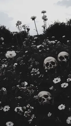 OnlyFans cuenta vesper.tine header 2