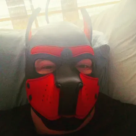 OnlyFans cuenta red_pup_love avatar 1