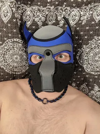 OnlyFans cuenta pupgoose avatar 1