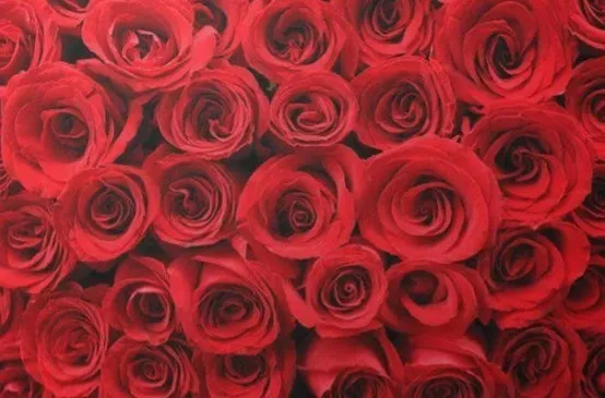 OnlyFans cuenta u76395442 header 2