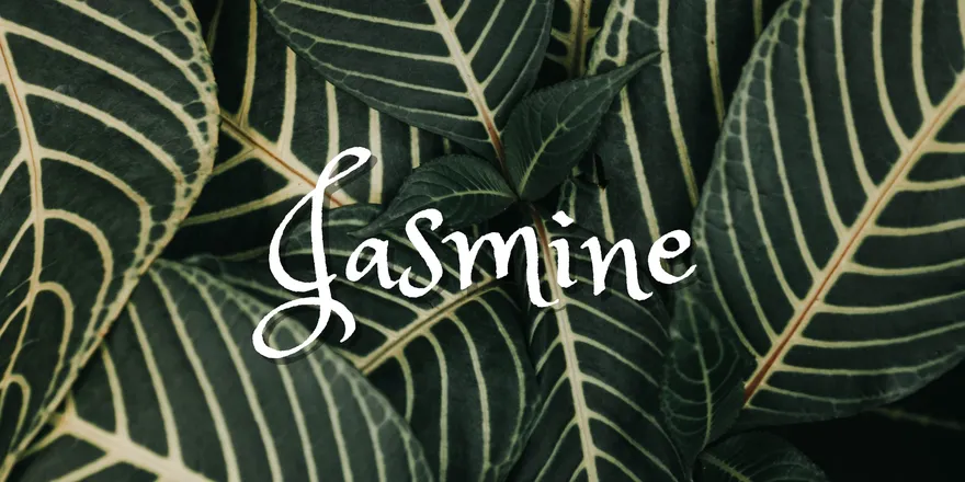 OnlyFans cuenta spiceyjasmine header 2