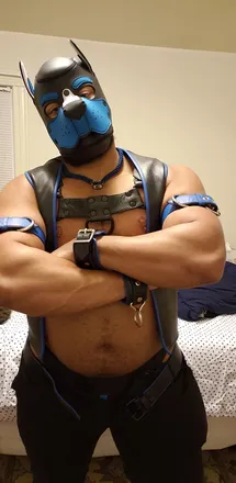 OnlyFans cuenta puppomax header 2