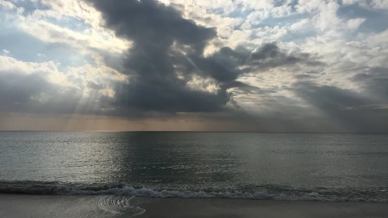 OnlyFans cuenta collegeboreding header 1