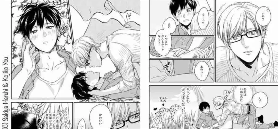 OnlyFans account  animecole header 2