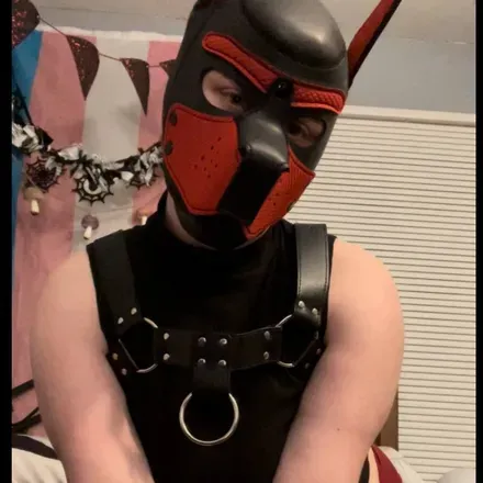 OnlyFans cuenta softpuppydog avatar 1