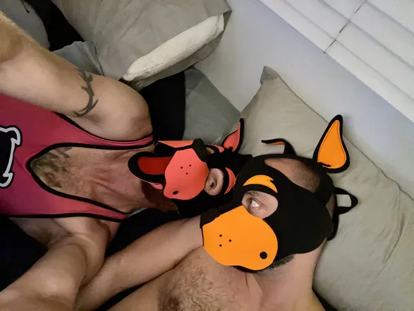 OnlyFans cuenta pupflip header 2