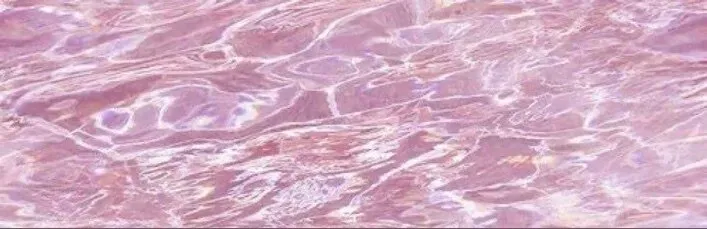 OnlyFans account  princessjadaxxx header 2