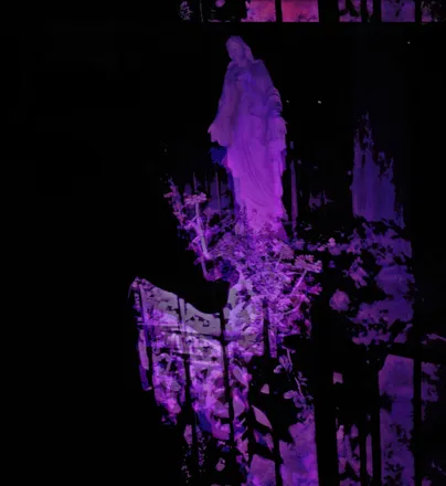 OnlyFans cuenta violet-graveyard header 2