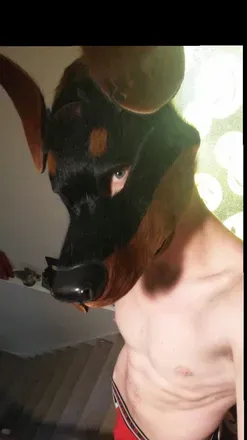 OnlyFans cuenta saberfox avatar 1