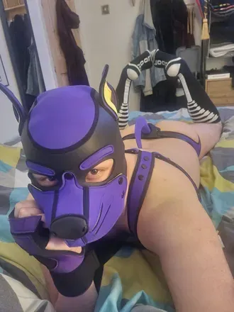 OnlyFans cuenta pup_siber avatar 1