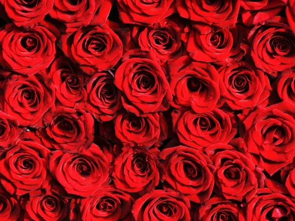 OnlyFans cuenta venusianmiel header 2