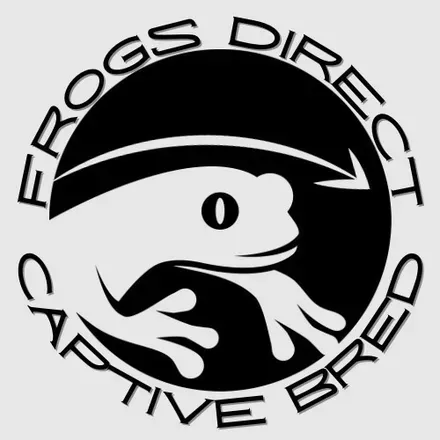 OnlyFans cuenta onlyfrogs2022 avatar 1