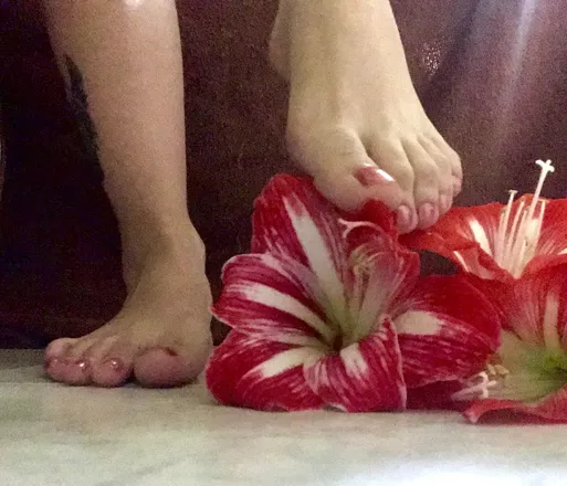 OnlyFans cuenta u78647805 header 2