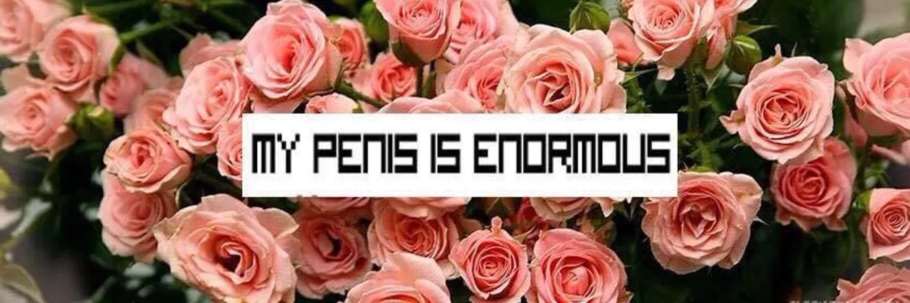 OnlyFans account  polillaaaa header 2