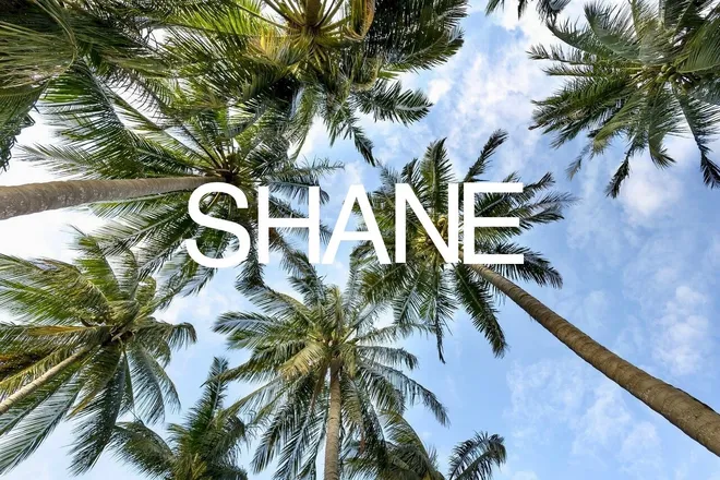 OnlyFans cuenta iamshanee header 2