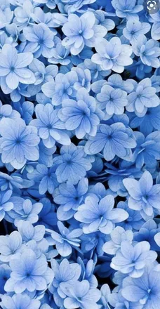 OnlyFans cuenta heejmichelle.b header 2
