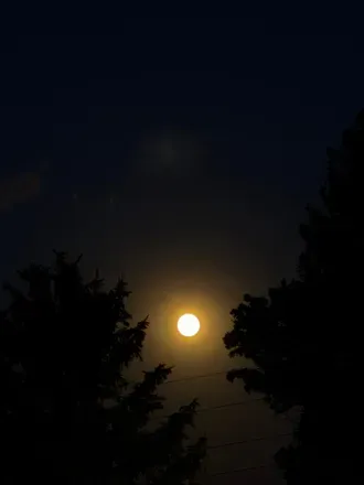 2025-08-20 photo 2