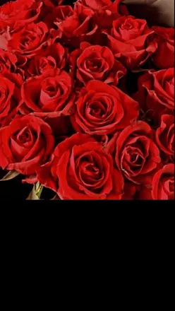 OnlyFans account  passionlifexxx header 2