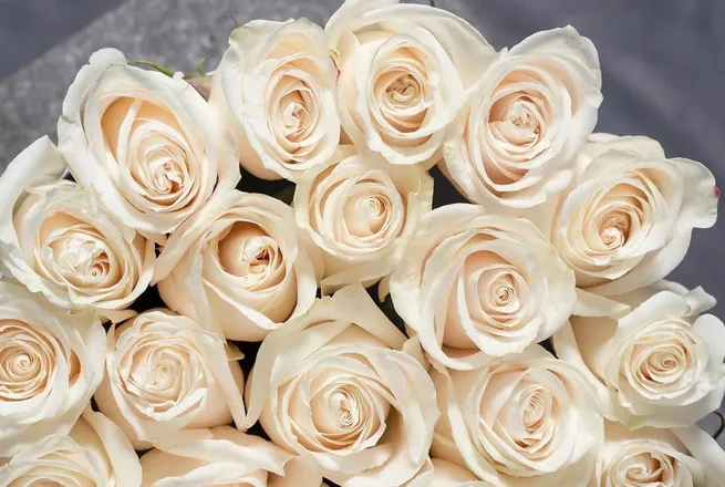OnlyFans cuenta rosaclara766 header 2