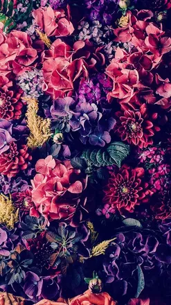 OnlyFans cuenta chelseaprice header 2