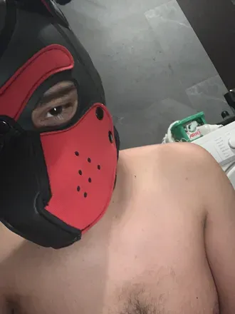 OnlyFans account  pup101 header 2
