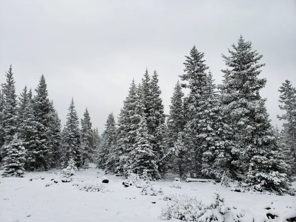 OnlyFans cuenta winterywitchy header 2