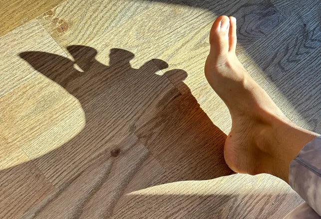 OnlyFans cuenta soleful_toes header 2