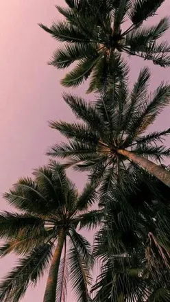 OnlyFans cuenta kinkyfckgirl header 2