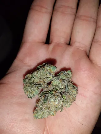 OnlyFans cuenta robert_highlife header 1