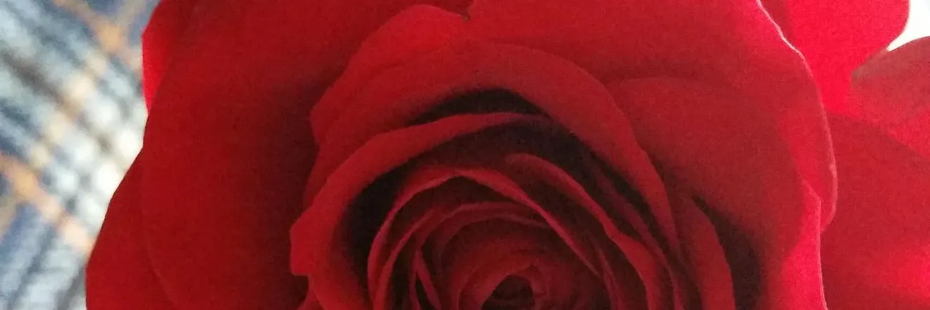 OnlyFans account  dynastybanxxx header 2