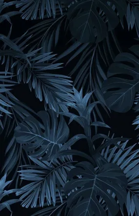 OnlyFans cuenta itskyleebabay header 2