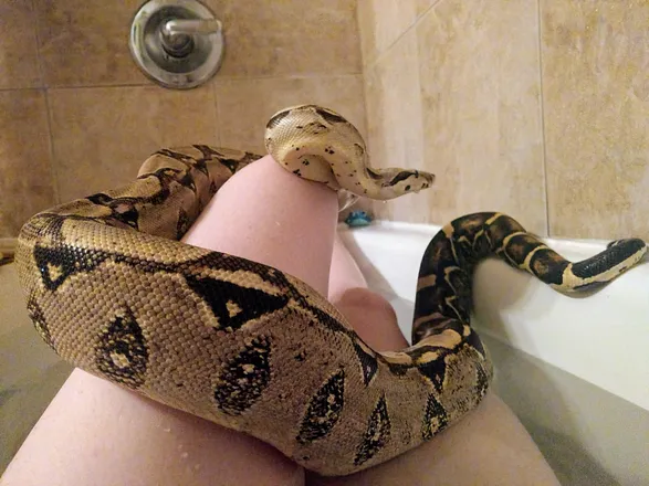 OnlyFans account  thatfaebitch header 2