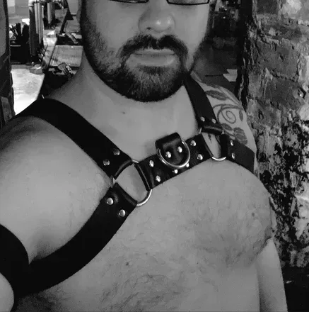OnlyFans cuenta calix_bearxxx avatar 1