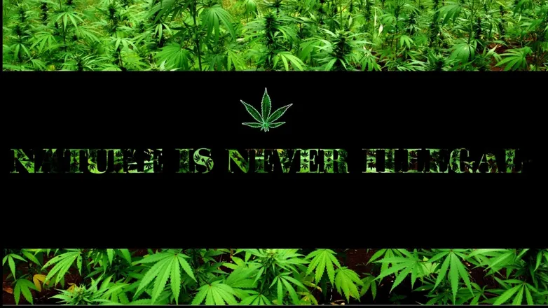 OnlyFans cuenta janesmoke header 2
