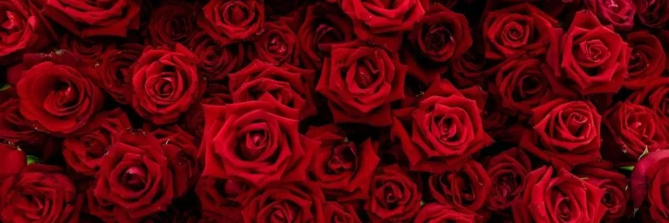 OnlyFans account  sweetlike___ header 2