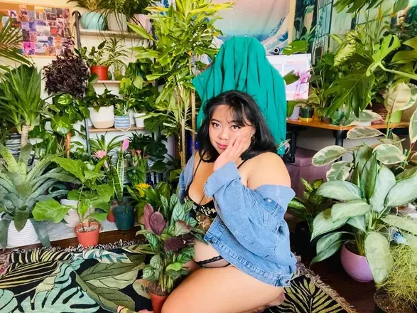 OnlyFans cuenta mistressevex avatar 1