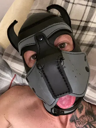 OnlyFans cuenta rykerthepup avatar 1