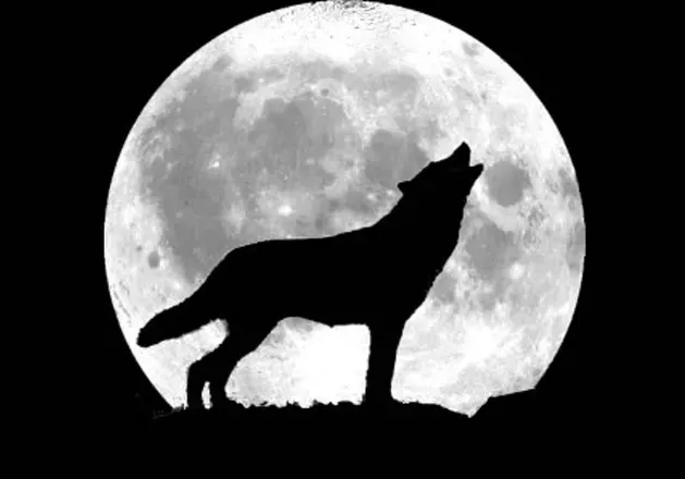 OnlyFans cuenta bigbadwolf0 avatar 1