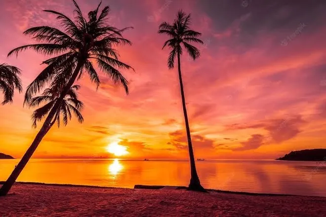 OnlyFans cuenta beachub123 header 2