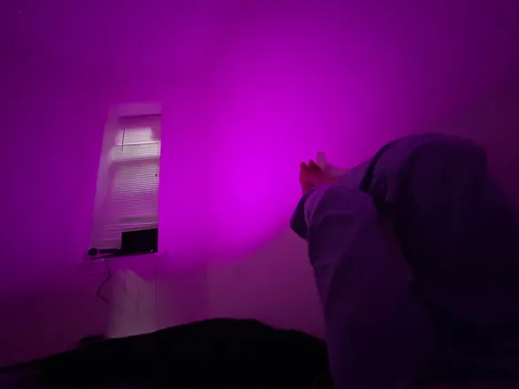 OnlyFans account  alexiavb header 2