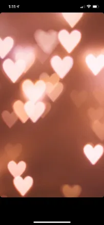 OnlyFans account  ellababexx header 2