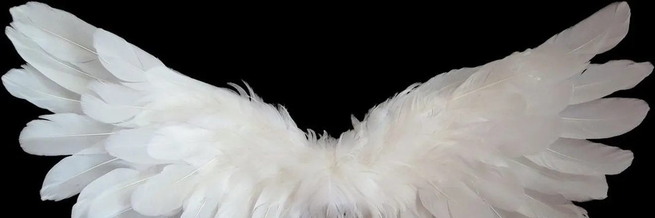OnlyFans cuenta kza_jay header 2