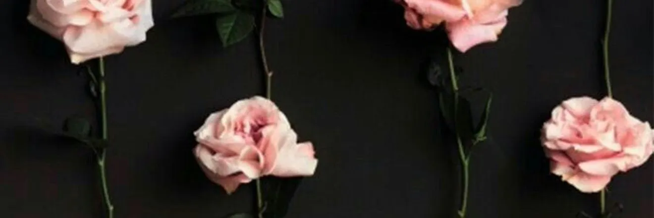 OnlyFans cuenta belladarkbloom header 2
