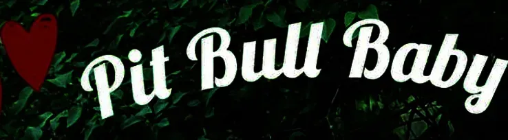 OnlyFans cuenta pitbullbabyfree header 2
