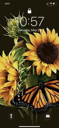 OnlyFans account  sunflowerbeauty420 header 2