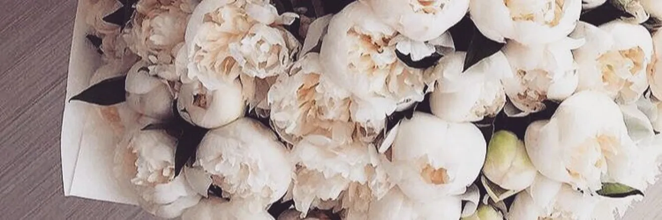OnlyFans cuenta ysaaoana header 2