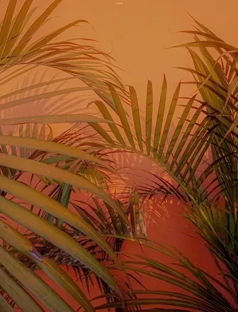 OnlyFans cuenta cocofreda header 2