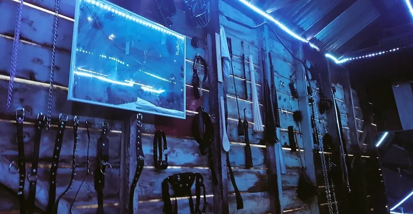OnlyFans cuenta lilithdungeon header 2