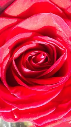 OnlyFans cuenta baelababy header 2